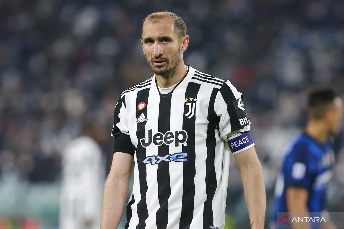 Giorgio Chiellini, Sang Tembok Kokoh Italia